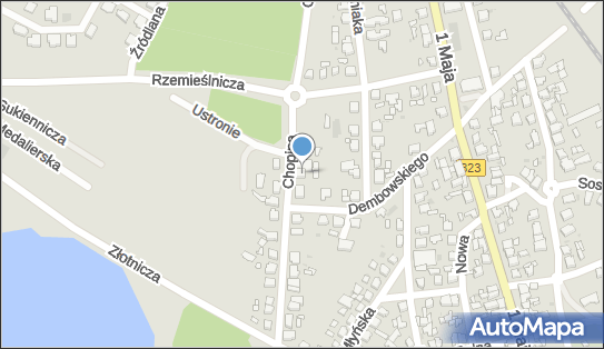Mechanika Pojazdowa Leszno, ul. Fryderyka Chopina 33, Leszno 64-100 - Przedsiębiorstwo, Firma, NIP: 6971594005