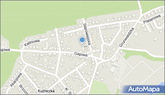 Mechanika Pojazdowa Myjnia, Starowiejska 1, Kędzierzyn-Koźle 47-220 - Przedsiębiorstwo, Firma, NIP: 7491032963