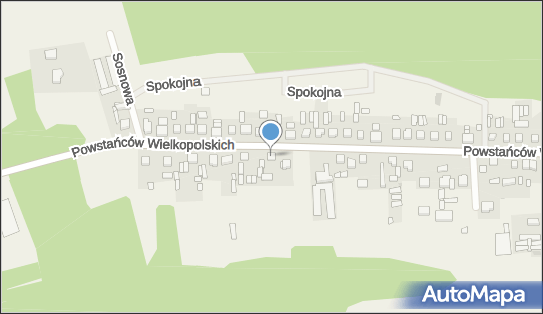 Mechanika Pojazdowa Nowa Wieś, ul. Powstańców Wielkopolskich 37 67-417 - Przedsiębiorstwo, Firma, NIP: 6981132016