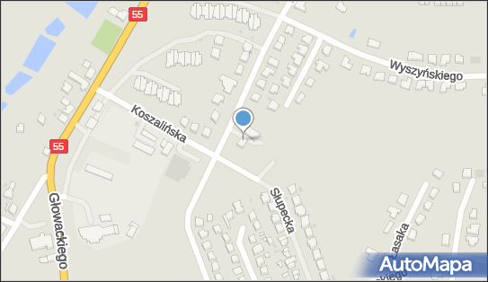 5791008531, Mechanika Pojazdowa, Stacja Kontroli Pojazdów Witold Wolak 