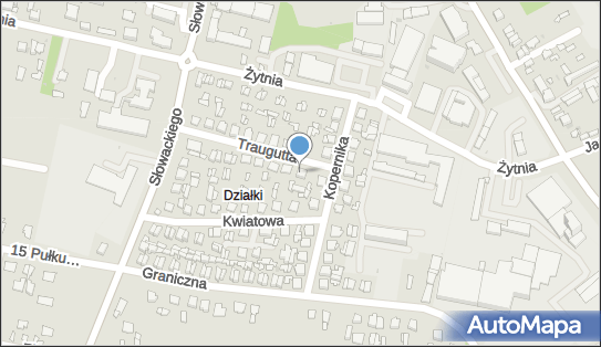 7161539759, Tadeusz Piecyk 