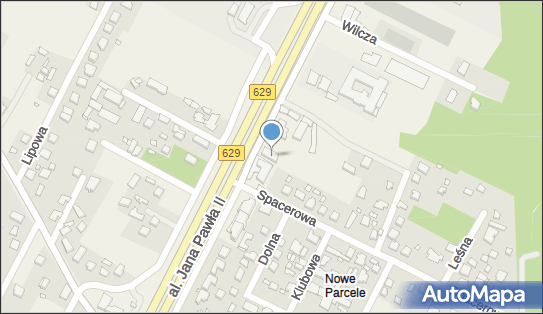 1131541547, Cult Cars Auto Service Andrzej Czerski 