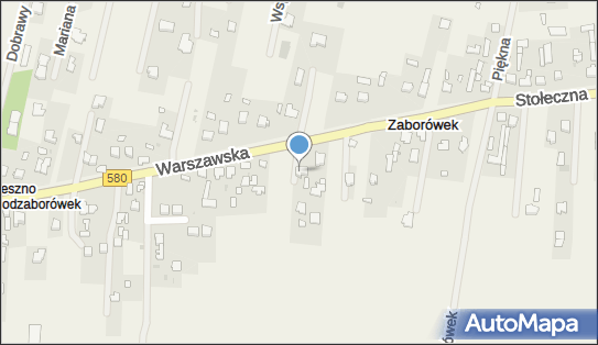 5291017521, Tadeusz Kacprzak 