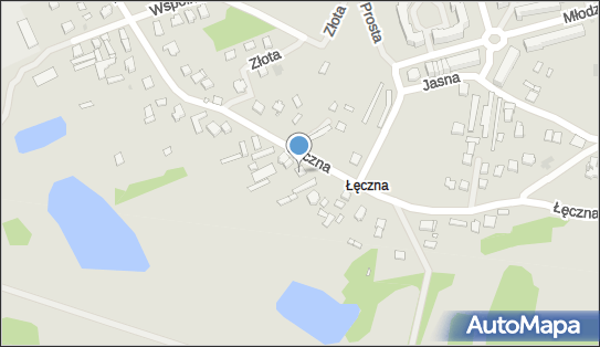 Mechanika Pojazdowa, ul. Łęczna 25, Nowy Dwór Mazowiecki 05-100 - Przedsiębiorstwo, Firma, NIP: 5681251822
