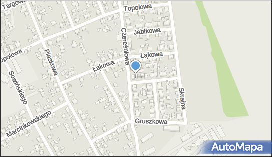 Mechanika Pojazdowa, Poziomkowa 3, Mosina 62-050 - Przedsiębiorstwo, Firma, NIP: 7772720235