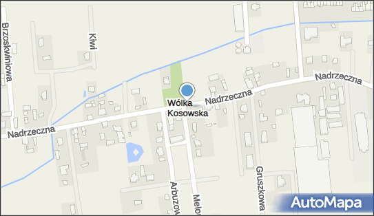 Medagro International Sp. z o.o., Podleśna 83, Wólka Kosowska 05-552 - Przedsiębiorstwo, Firma, numer telefonu