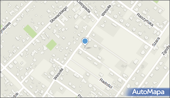 Medicus, Michałowice-Wieś 7, Michałowice-Wieś 05-816 - Przedsiębiorstwo, Firma, NIP: 5341291633