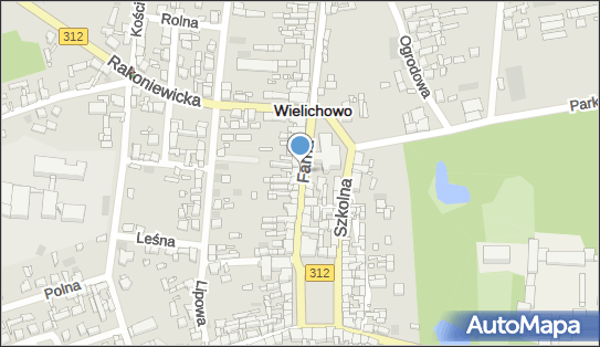 Megamind Maciej Pawłowski, ul. Farna 19, Wielichowo 64-050 - Przedsiębiorstwo, Firma, NIP: 7881248139