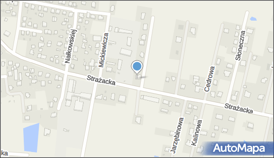 5621267506, Metaloplastyka Adam Mazur 
