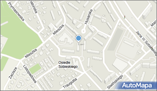 5361654056, MGS TSM Magdalena Gmurek 