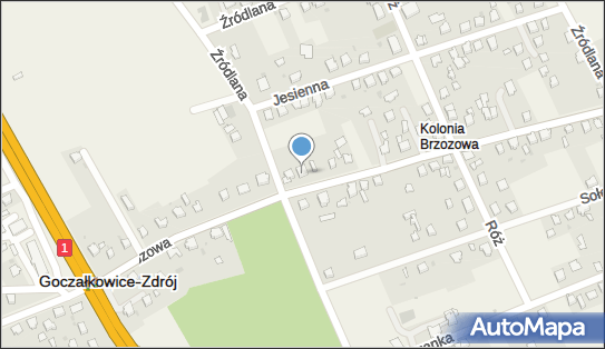 6381754293, Pszczyńskie Centrum Treningu Rehabilitacyjnego Michał Puchała 