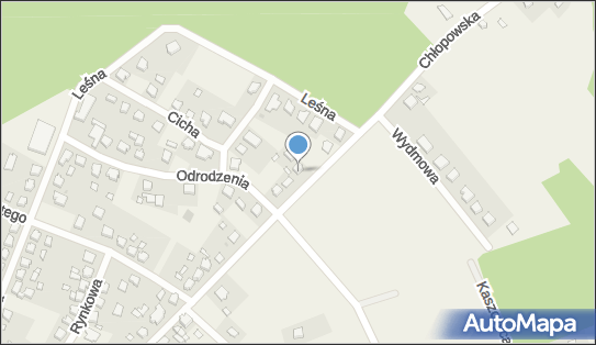 Michał Ryduchowski Usługi Stolarsko-Ciesielskie Michał Ryduchowski 89-642 - Przedsiębiorstwo, Firma, NIP: 5552041413