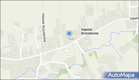 Michał Składanowski, Nawsie Brzosteckie 45, Nawsie Brzosteckie 39-230 - Przedsiębiorstwo, Firma, NIP: 8722410869