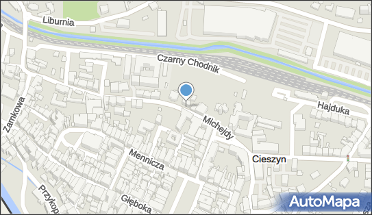 Michał Stępień Fryzjerstwo, ul. dr. Jana Michejdy 8, Cieszyn 43-400 - Przedsiębiorstwo, Firma, NIP: 5482612683