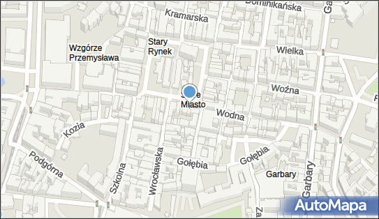 Michał Szlachetka Ratuszova, Stary Rynek 55, Poznań 61-772 - Przedsiębiorstwo, Firma, NIP: 7811685366