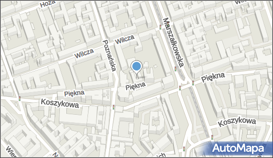 Międzynarodowe Towarzystwo Naftowe Golden Gate, ul. Piękna 46 00-672 - Przedsiębiorstwo, Firma, numer telefonu, NIP: 5212977771