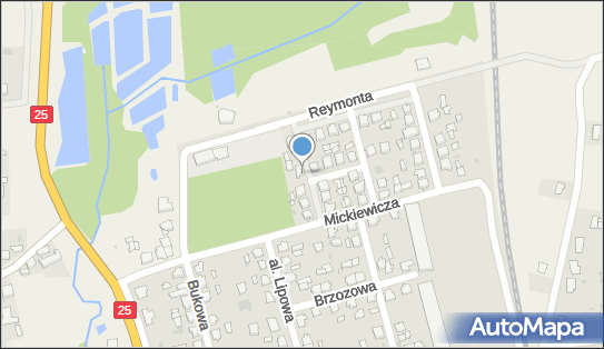 Międzynarodowy i Krajowy Transport Drogowy Władysław Radomski 89-400 - Przedsiębiorstwo, Firma, NIP: 5550003064
