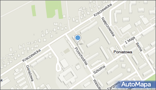 Międzynarodowy Przewóz Osób Piotr Korecki, Kraczewicka 29 24-320 - Przedsiębiorstwo, Firma, NIP: 7171145045