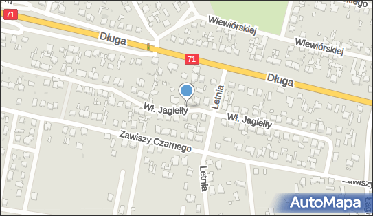 Międzynarodowy Transport Ciężarowy, ul. Władysława Jagiełły 51 95-100 - Przedsiębiorstwo, Firma, NIP: 7280020561