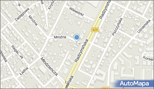 006916349, Międzynarodowy Transport Drogowy Ryszard Onufrowicz 