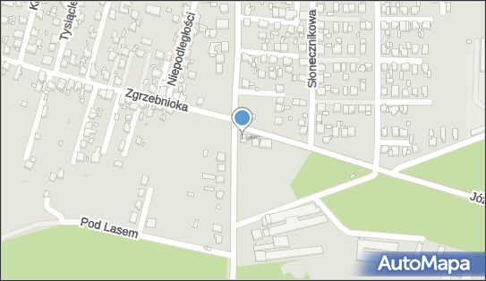Mieszalnia Lakierów Samochodowych, ul. Tarnogórska 4 41-954 - Przedsiębiorstwo, Firma, NIP: 6451413291