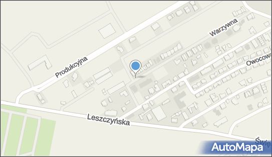 Mikołaj May Kominki Leszno, ul. Warzywna 5, Święciechowa 64-115 - Przedsiębiorstwo, Firma, NIP: 6971885949