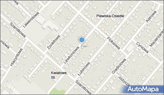 Mikroauto Grzegorz Sakowicz Wiktor Sakowicz, Lewkoniowa 25, Poznań 60-175 - Przedsiębiorstwo, Firma, NIP: 7792392030