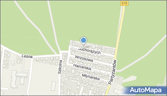 5291010772, Mikrobusy-Przewóz Osób, Cwynar Robert 