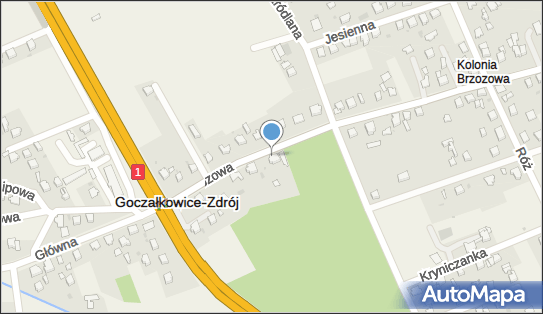 Milla, Brzozowa 10, Goczałkowice-Zdrój 43-230 - Przedsiębiorstwo, Firma, numer telefonu