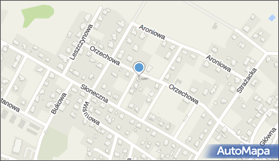 Miłosz Rutkowski, Brzoskwiniowa 6, Święta Katarzyna 55-010 - Przedsiębiorstwo, Firma, NIP: 8991428400