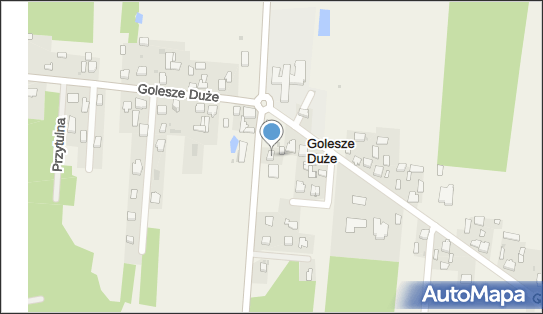 Mini Market, Golesze Duże 24Z, Golesze Duże 97-320 - Przedsiębiorstwo, Firma, NIP: 7711163295