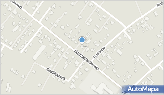 Miran, Szczepankowo 77, Poznań 61-311 - Przedsiębiorstwo, Firma, numer telefonu, NIP: 7820066705