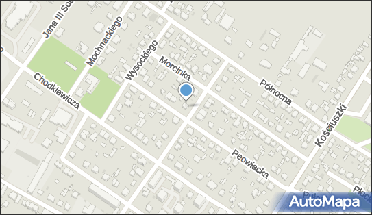 Mirol Sped, ul. Lelewela 23, Kutno 99-300 - Przedsiębiorstwo, Firma, numer telefonu, NIP: 7752614501