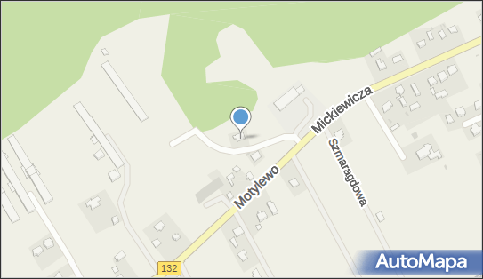 Miron - Mirosław Butrym, Motylewo 55, Motylewo 66-450 - Przedsiębiorstwo, Firma, NIP: 5992499429