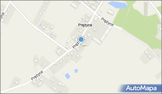 Miszczuk Wioletta Sklep Spożywczo-Przemysłowy, Prężyce 7 55-026 - Przedsiębiorstwo, Firma, NIP: 9131254556