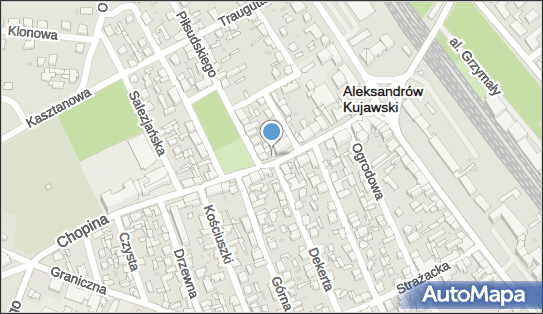 Miś, ul. Fryderyka Chopina 18, Aleksandrów Kujawski 87-700 - Przedsiębiorstwo, Firma, numer telefonu, NIP: 8911570545