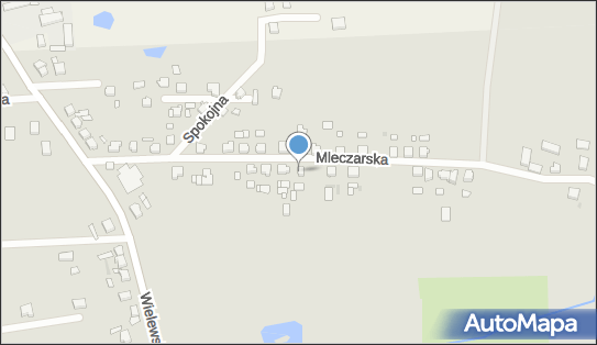 Mixmed, Mleczarska 25, Czersk 89-650 - Przedsiębiorstwo, Firma, NIP: 5551516682