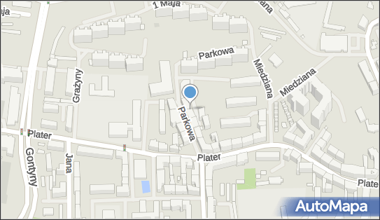 ML Lech Witczak, Parkowa 28, Szczecin 71-634 - Przedsiębiorstwo, Firma, NIP: 8511103656