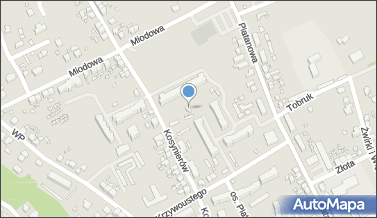 7611189467, ML Transport Joanna Jaroch 