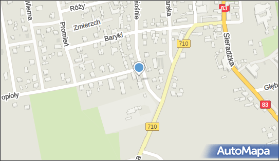 8272305775, Mój Optyk Agata Olszewska, Paweł Witczak 