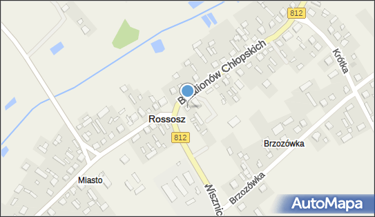 Moja Prywatna Taksówka, Batalionów Chłopskich 89, Rossosz 21-533 - Przedsiębiorstwo, Firma, NIP: 5370017840