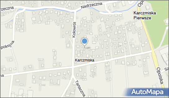 Mokijewski Dariusz, Pogodna 56, Karczmiska Pierwsze 24-310 - Przedsiębiorstwo, Firma, NIP: 7171213404