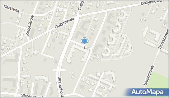 7131895538, Borkowska Iwona Monashe 
