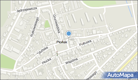 Monika Frąckiewicz, ul. Przejazd 2, Płońsk 09-100 - Przedsiębiorstwo, Firma, NIP: 1130135905