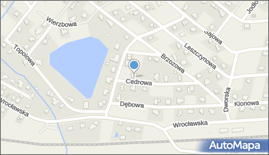 Monika Szymonek-Stec Szymonek-Stec Academy, Cedrowa 10 55-003 - Przedsiębiorstwo, Firma, NIP: 6151325720