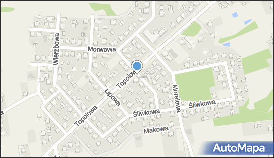 6652858427, MP-TRANS Przemysław Małas 