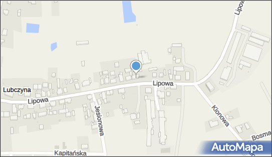 MRK Warzywa Marcin Kowalczyk, Lipowa 73, Lubczyna 72-105 - Przedsiębiorstwo, Firma, NIP: 8561542470