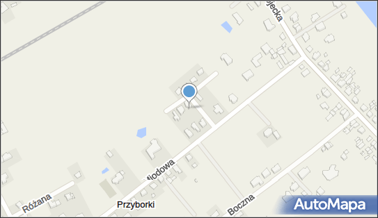 MS Września, Wspólna 1, Przyborki 62-300 - Przedsiębiorstwo, Firma, NIP: 7891031542