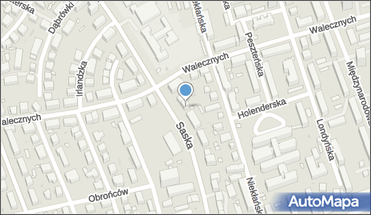 MSA, Saska 72, Warszawa 03-914 - Przedsiębiorstwo, Firma, numer telefonu, NIP: 5213021164