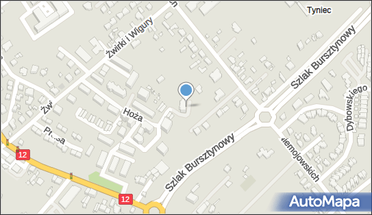 MT Logis Łakomiak i Józefiak, ul. Braci Niemojowskich 49A, Kalisz 62-800 - Przedsiębiorstwo, Firma, NIP: 6182110297